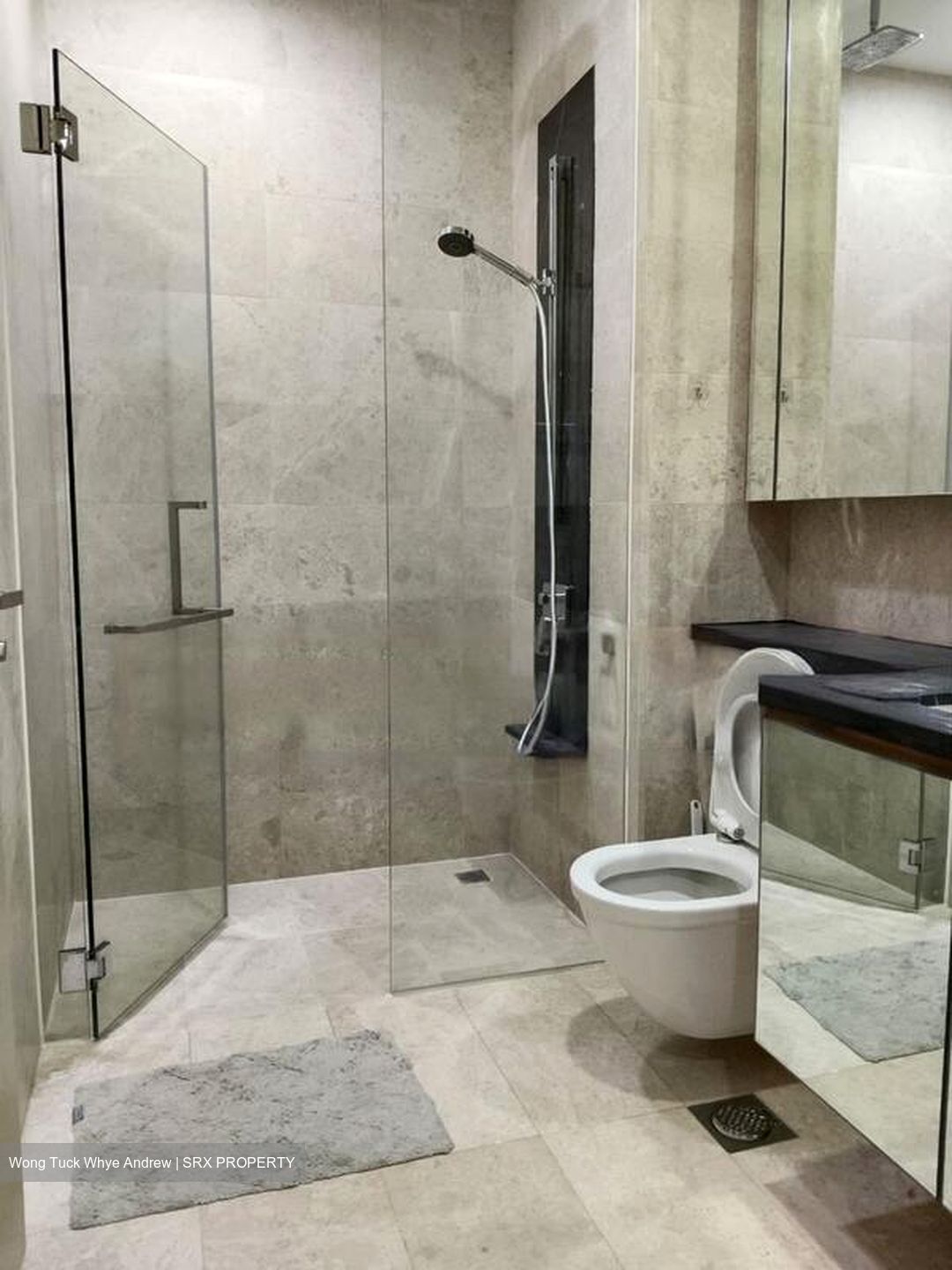 The Boutiq (D9), Apartment #469700751